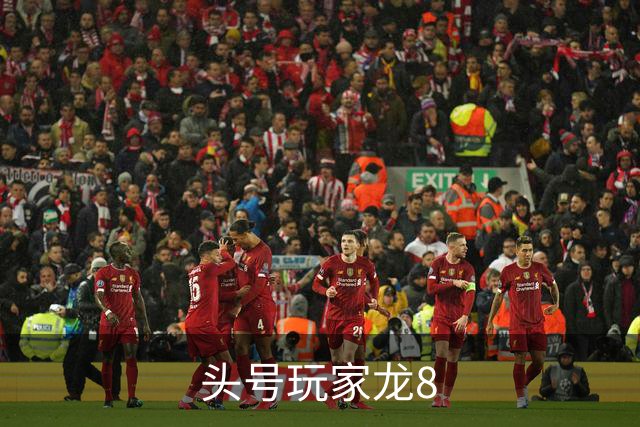头号玩家龙8公司简介图片